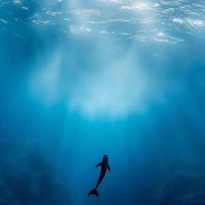 That girl+Boyfriend (独到品味)