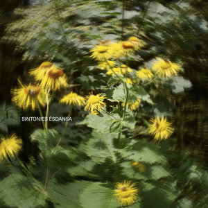 SINTONIA ÉSDANSA 02