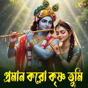 Proman Karo Krisna Tumi