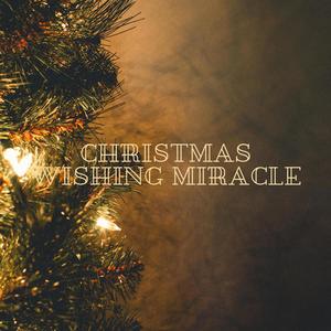 christmas wishing miracle