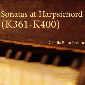 Sonatas at Harpsichord (K361-K400) - Sonata in E Major, K380: Andante comodo