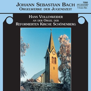 BACH, J.S.: Organ Music - BWV 553-560, 570, 711, 715, 716, 744 (Vollenweider)