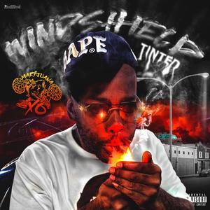 Windshield Tinted (Explicit)