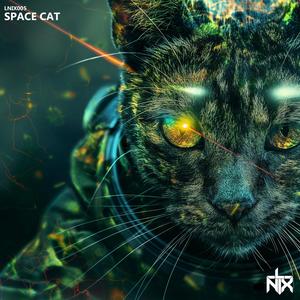 Space Cat