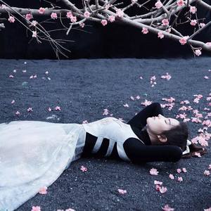 【魔道祖师‖温情同人】焚情归何处_醉珂