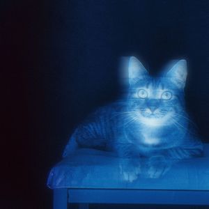 ДО ЗАРИ: pt. 2