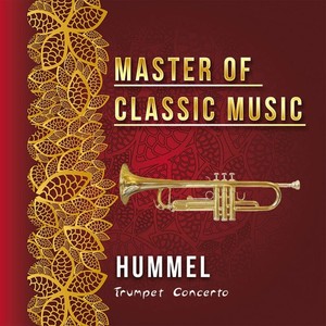 Trumpet Concerto in E Major, IJH 100 - I. Allegro con spirito