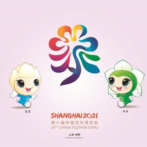 花开中国梦 (伴奏)