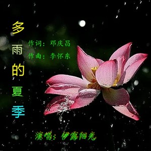 多雨的夏季