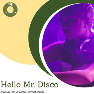 Hello Mr. Disco - A Collection Of Dance Tropical House