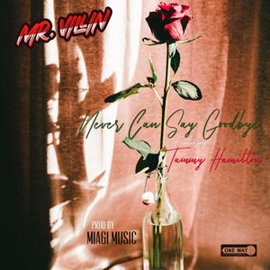 Never Can Say Goodbye(feat. Tammy Hamilton)