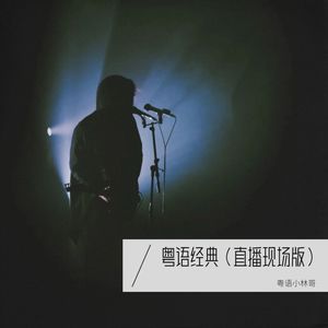 几许风雨 (Live)封面