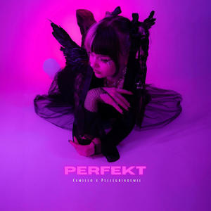 PERFEKT (Explicit)