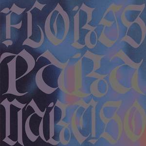 kami lauan - fotossíntese