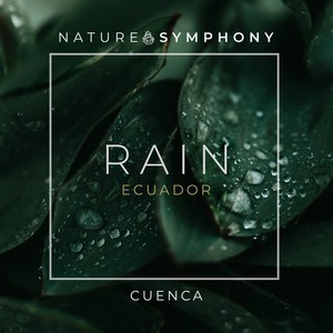 Rain: Cuenca, Ecuador