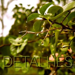 Detalhes (feat. Ana Beatriz)