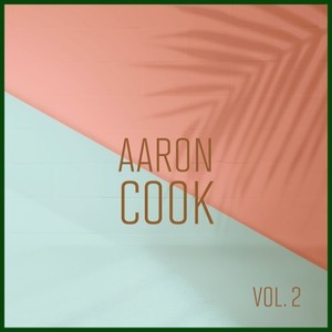 Aaron Cook, Vol. 2