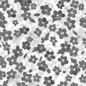 Let It Out (feat. Stick!) (Explicit)