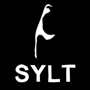 Sylt (Sam Space Remix)