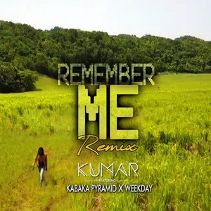 Remember Me (Remix)