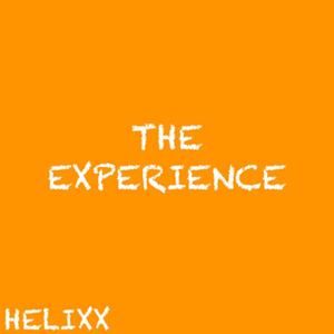 THE EXPERIENCE