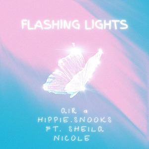 Flashing Lights (feat. Sheila Nicole) [Explicit]