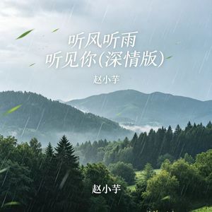 听风听雨听见你 (深情版)