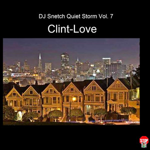 Dj Snetch Quiet Storm Vol. 7