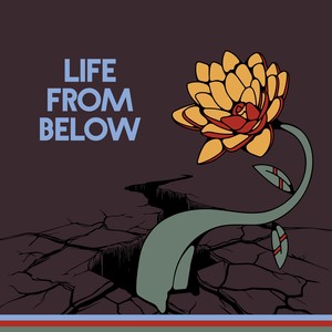 Life from Below