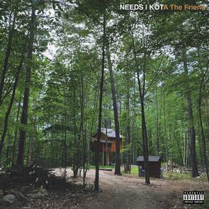 Needs (Explicit)