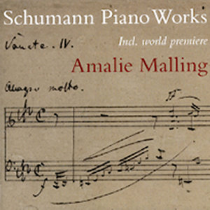 Faschingsswank aus Wien opus 26 - Finale