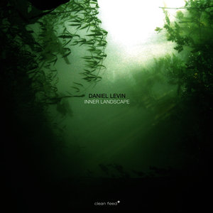 Landscape 1