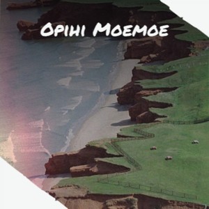 Opihi Moemoe