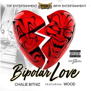 Bipolar Love (feat. Wood) (Explicit)