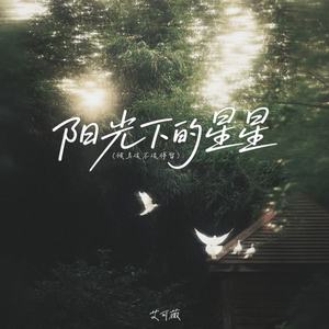 阳光下的星星 (候鸟该不该停留)
