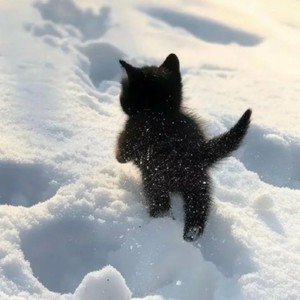 雪地传来了哈基米(HEAVENLY JUMPSTYLE)封面