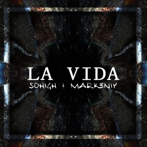 La Vida (Original Mix)
