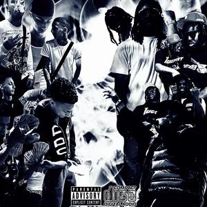 BIRDS (feat. lil perco) (Explicit)