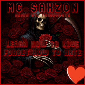 Learn How to Love Forget How to Hate (TrinoVante Remix|Explicit)