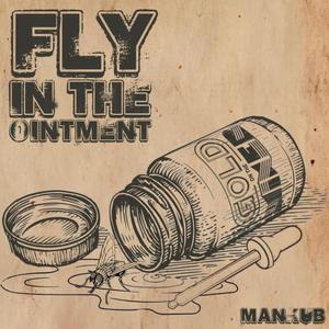 Fly In The Ointment