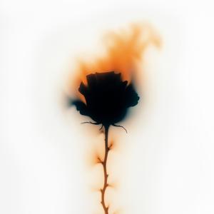 perdido x tu ciudad (feat. PW & Krdenas)