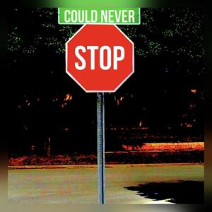 Could Never Stop Me (Punjabi)