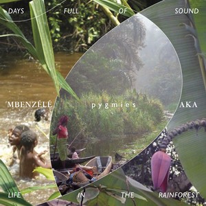 DAYS FULL OF SOUND - LIFE IN THE RAINFOREST