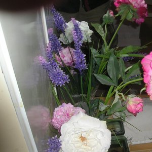 미안했어 (对不起) (口白)