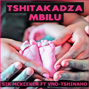 Tshitakadza Mbilu (feat. Vho-Tshinakaho)