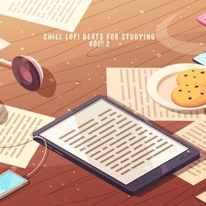 Chill LoFi Beats for Studying (Vol. 2)