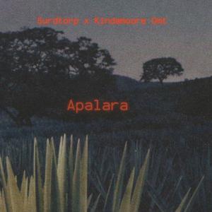 Apalara (feat. Kindamoore omt) [Explicit]