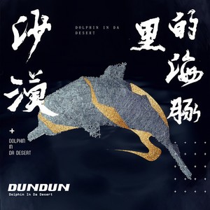 沙漠里的海豚