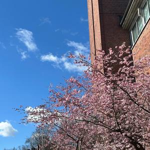 LETZTER TAG (Explicit)