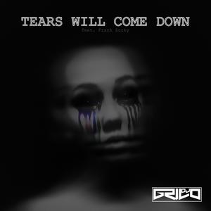 Tears Will Come Down (feat. Frank Zosky)